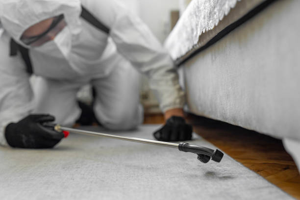 Professional Bed Bug Control technician working in Strathmore, NJ
