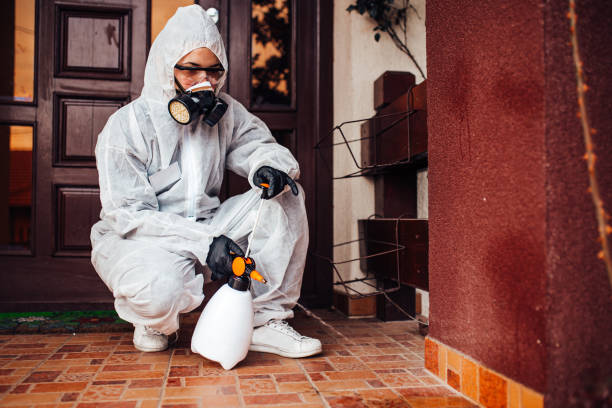 Reliable Bed Bug Control contractor in Strathmore, NJ by Nex Pest Control